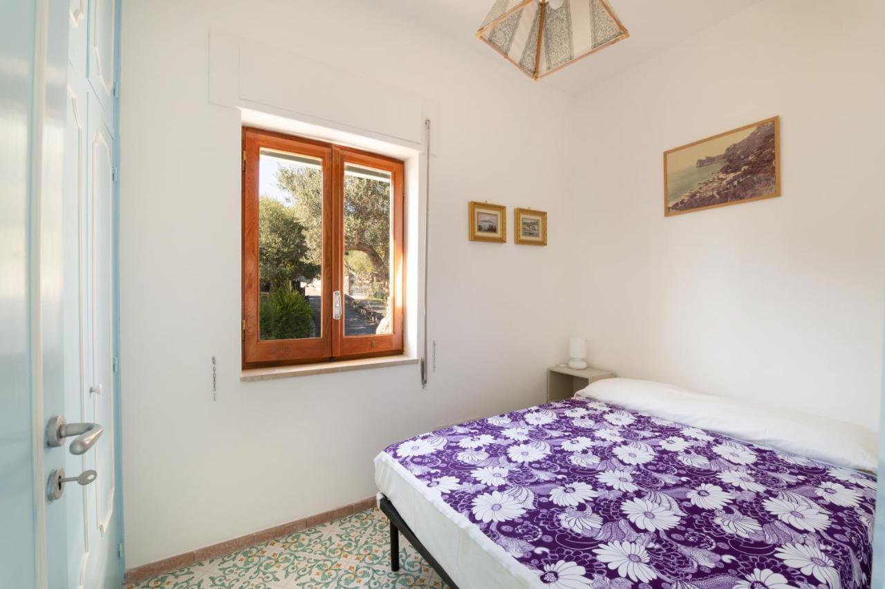 Main Roof Terrace Apartment Nerano Dış mekan fotoğraf